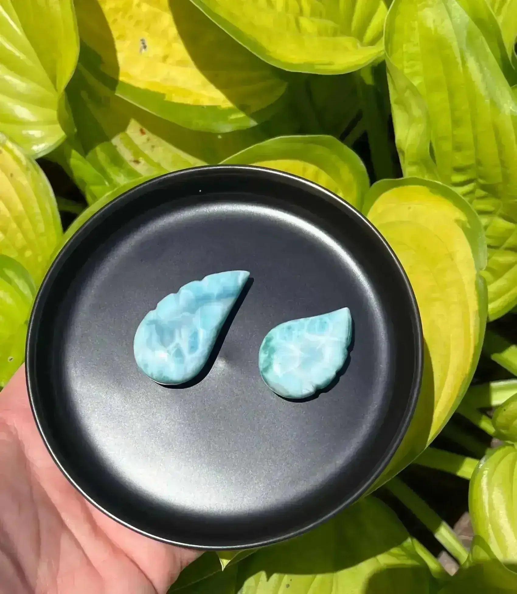 Larimar Wing Carving - Throat Chakra - My Crystal Addiction