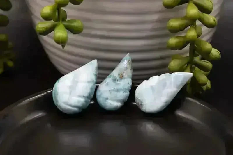 Larimar Wing Carving - Throat Chakra - My Crystal Addiction