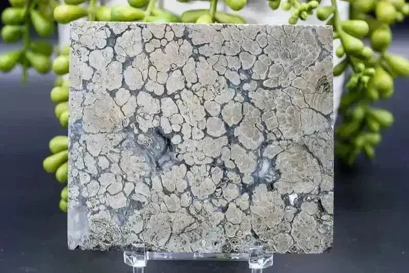 Marcasite Slice 3.25"x4" - My Crystal Addiction