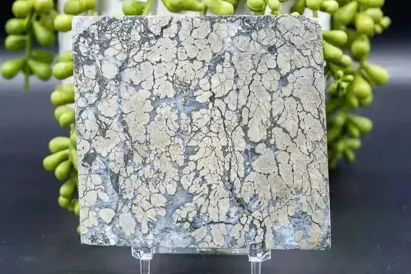 Marcasite Slice 3.5"x4" - My Crystal Addiction