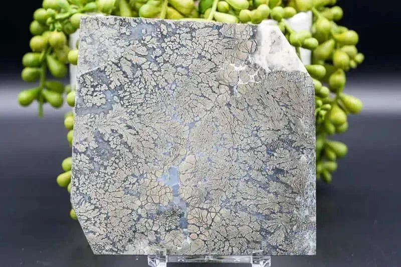 Marcasite Slice 4"x4" - My Crystal Addiction