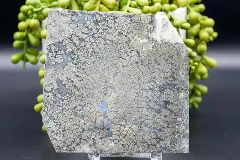 Marcasite Slice 4"x4" - My Crystal Addiction