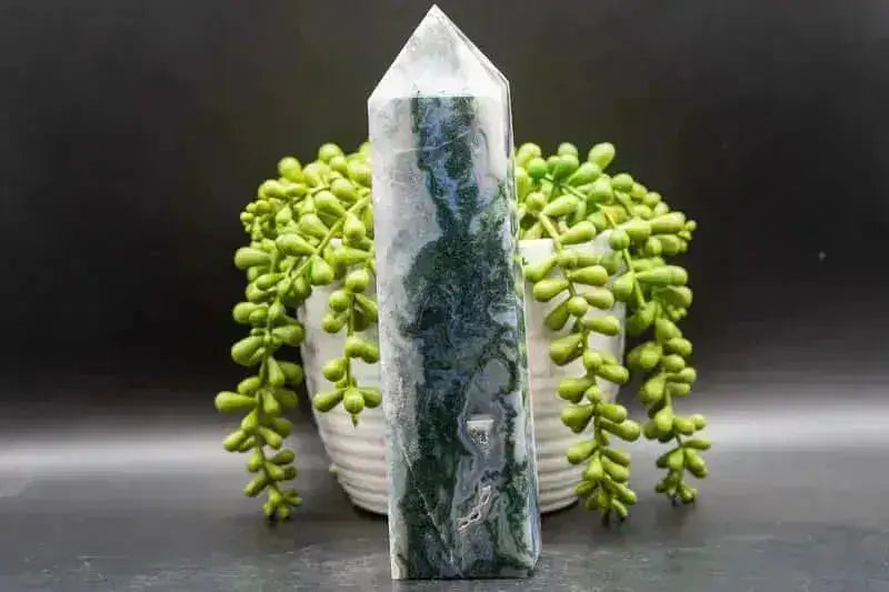 Moss Agate Tower 7.5" - My Crystal Addiction