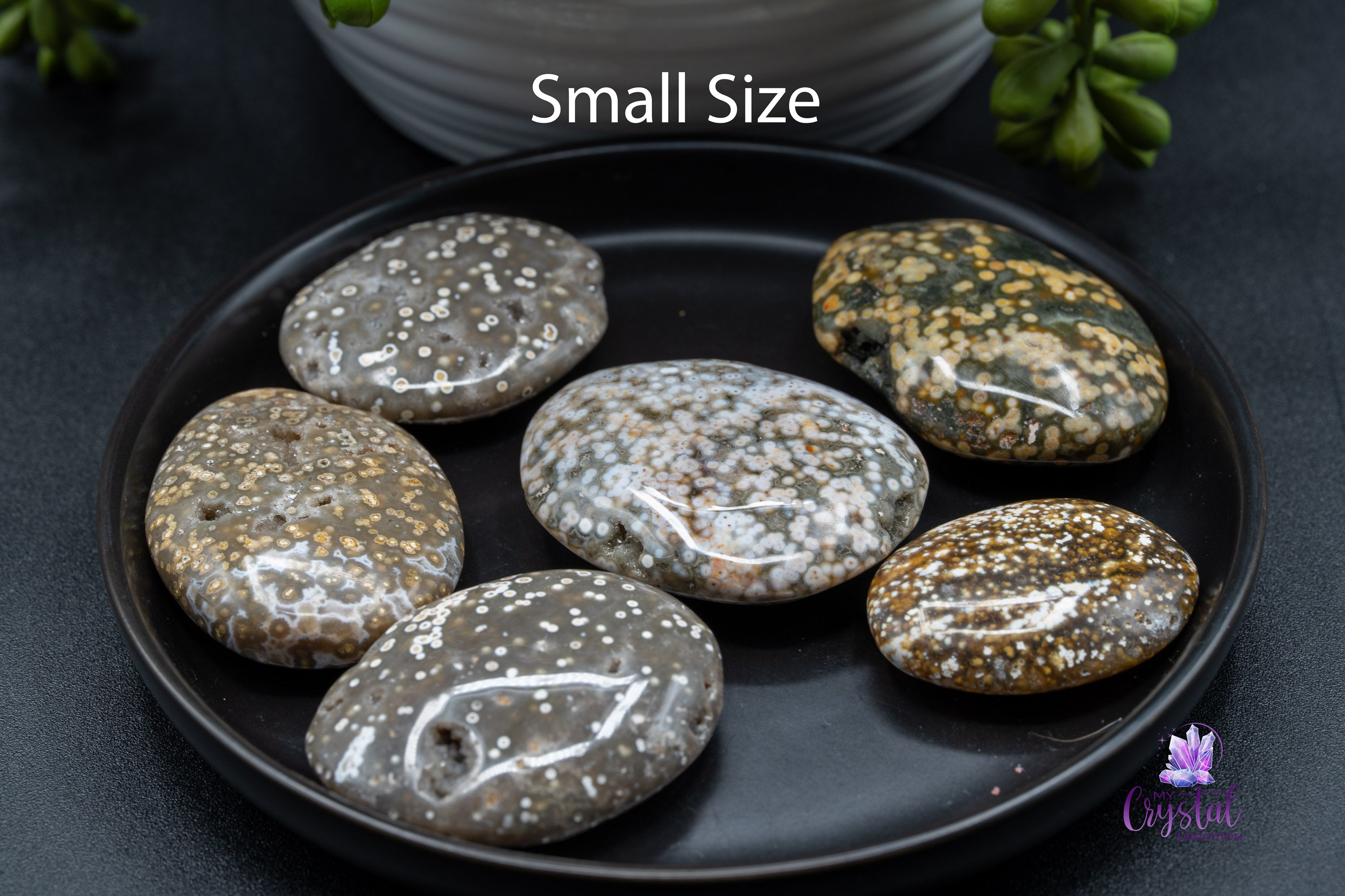 Ocean Jasper Palm Stone - My Crystal Addiction