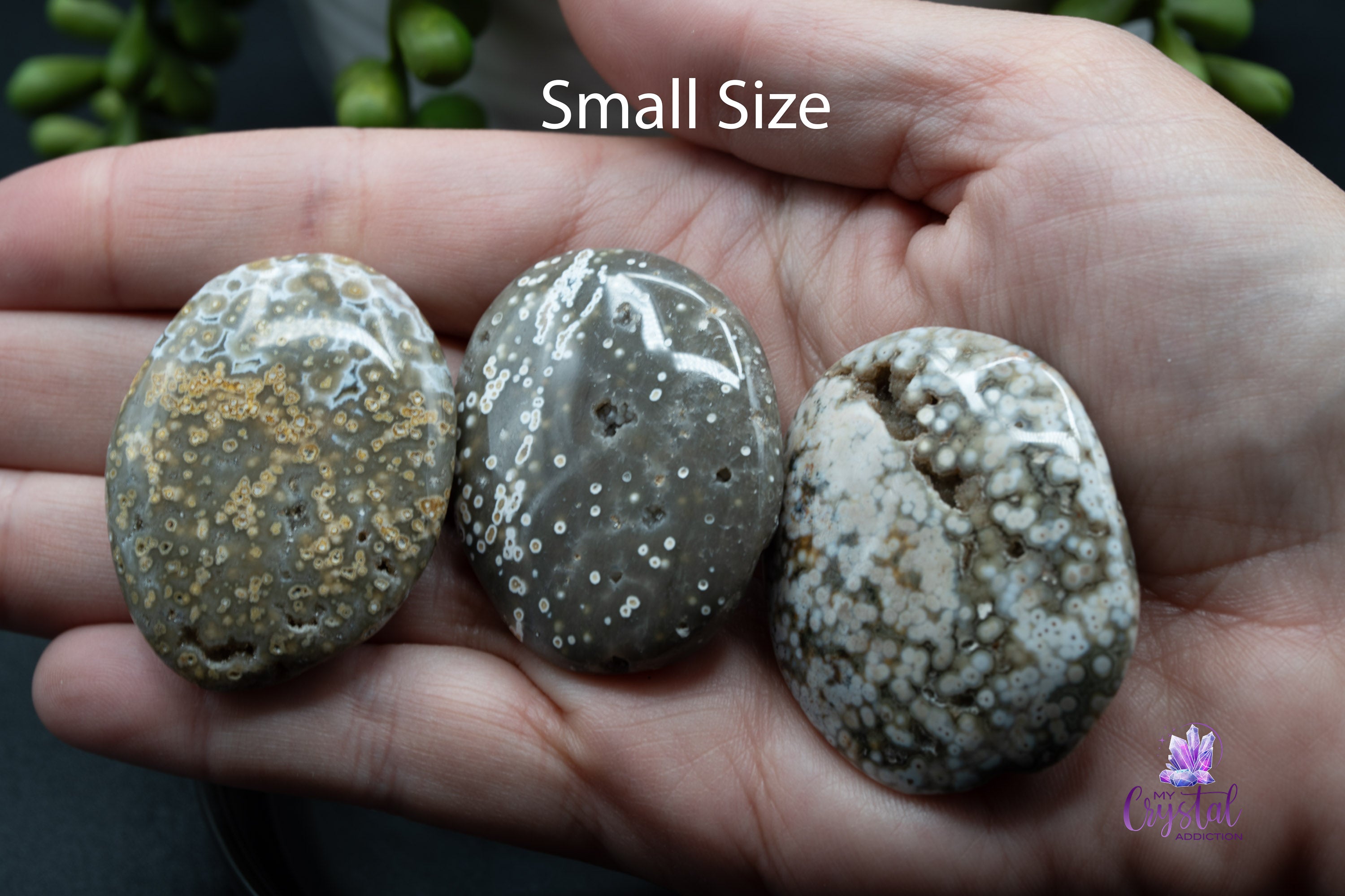 Ocean Jasper Palm Stone - My Crystal Addiction