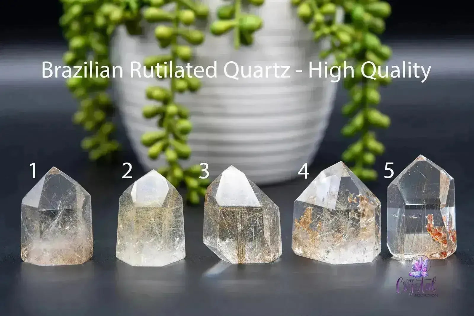 Rutile Quartz Tower 1.6"-1.7"/41mm-44mm - Brazilian - My Crystal Addiction