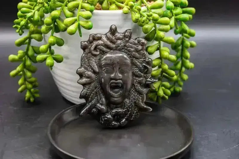 Silver Sheen Obsidian Carving - Medusa - My Crystal Addiction
