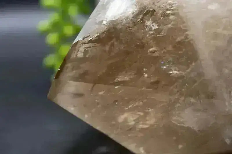 Smoky Quartz Point - 6.5" - My Crystal Addiction