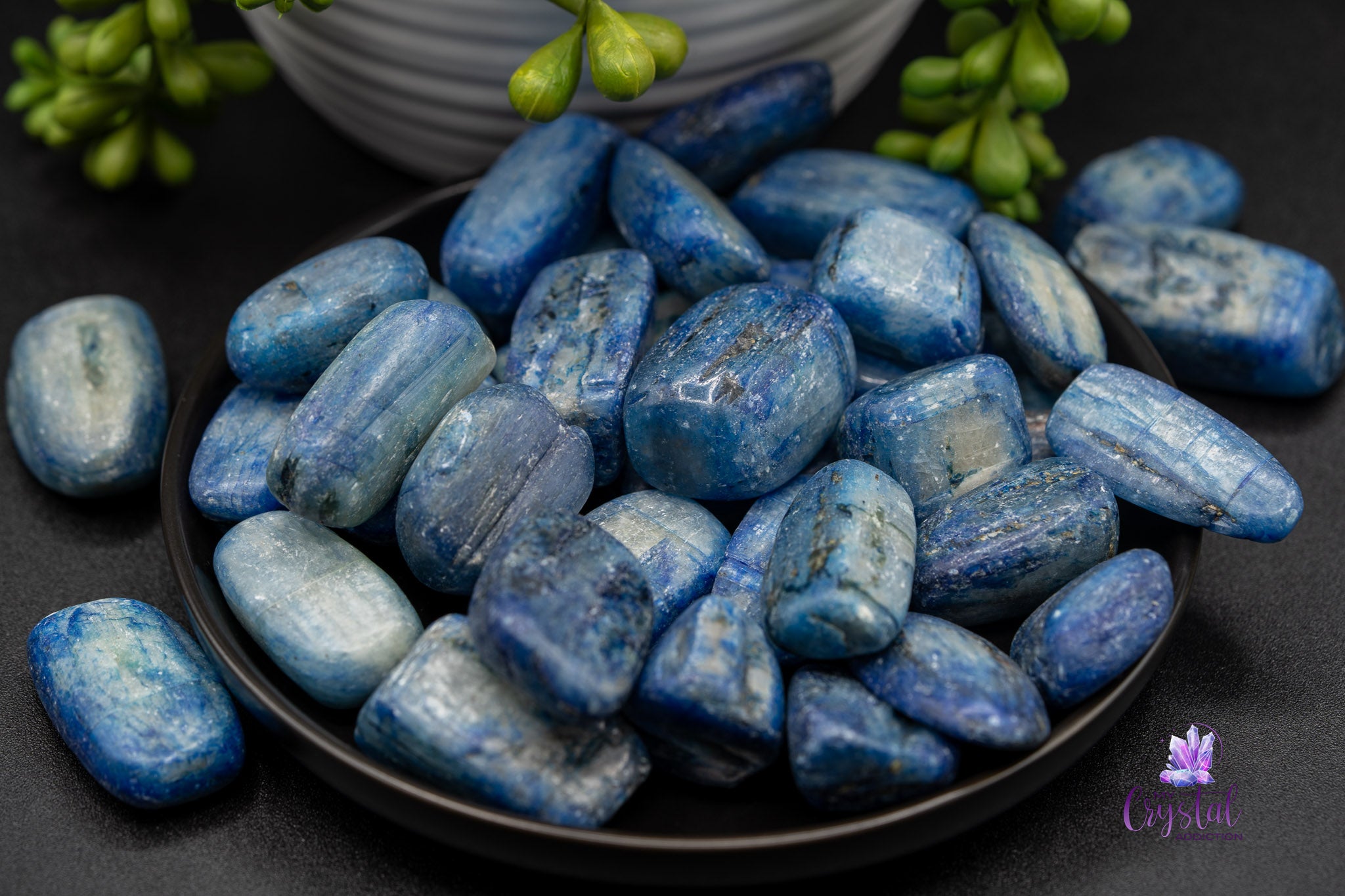 Polished blue kyanite stones on a black plate with green succulent plant decor