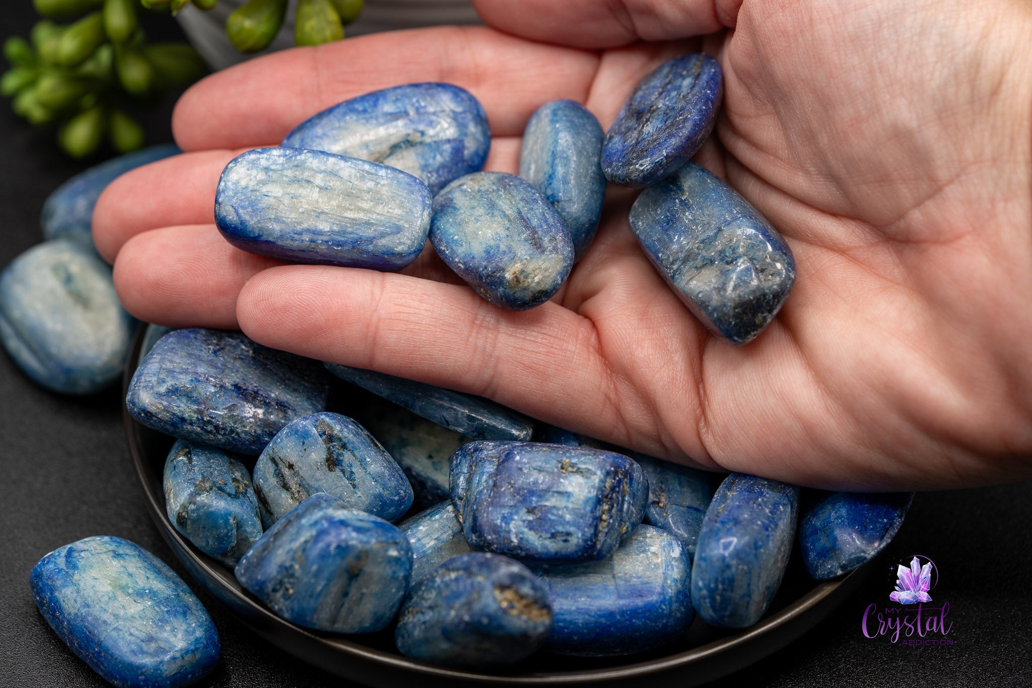 Hand holding polished blue kyanite crystals on a black dish with succulents in background