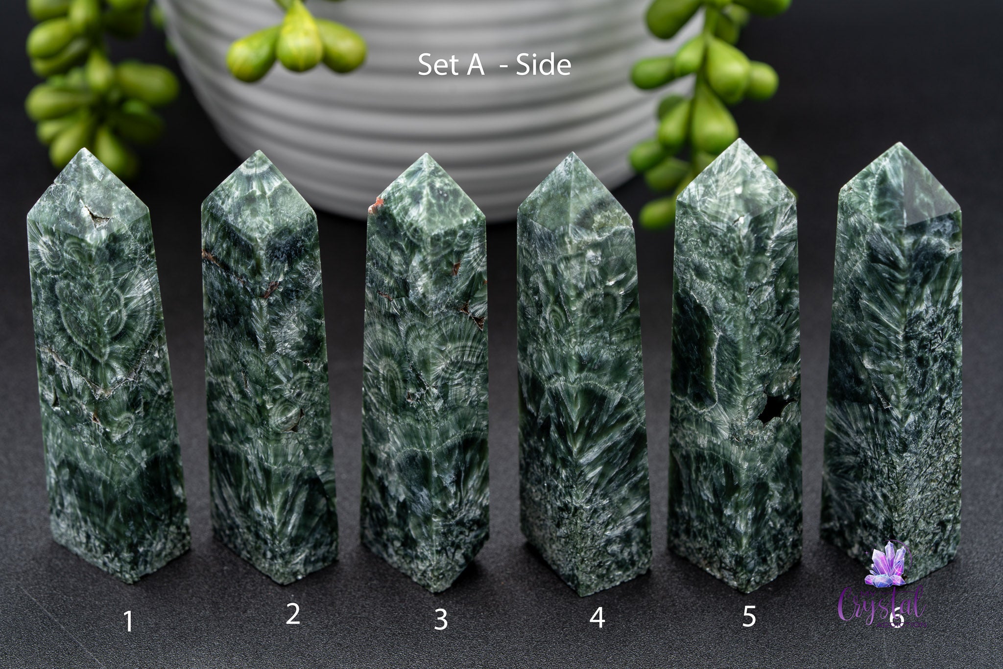 Set of six green seraphinite crystal tower points on black surface with plant in background