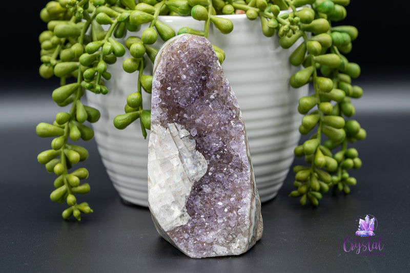 Amethyst Freeform - Third Eye Chakra - My Crystal Addiction