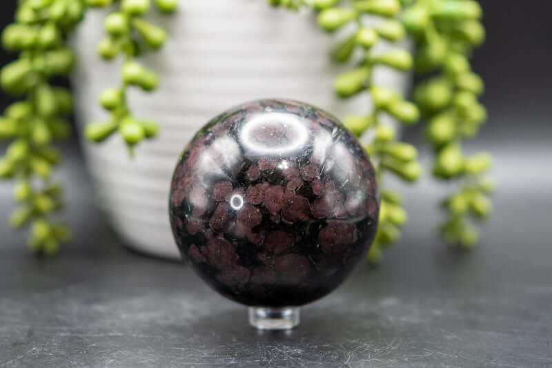 Arfvedsonite w/Garnet Sphere 2.6" - My Crystal Addiction