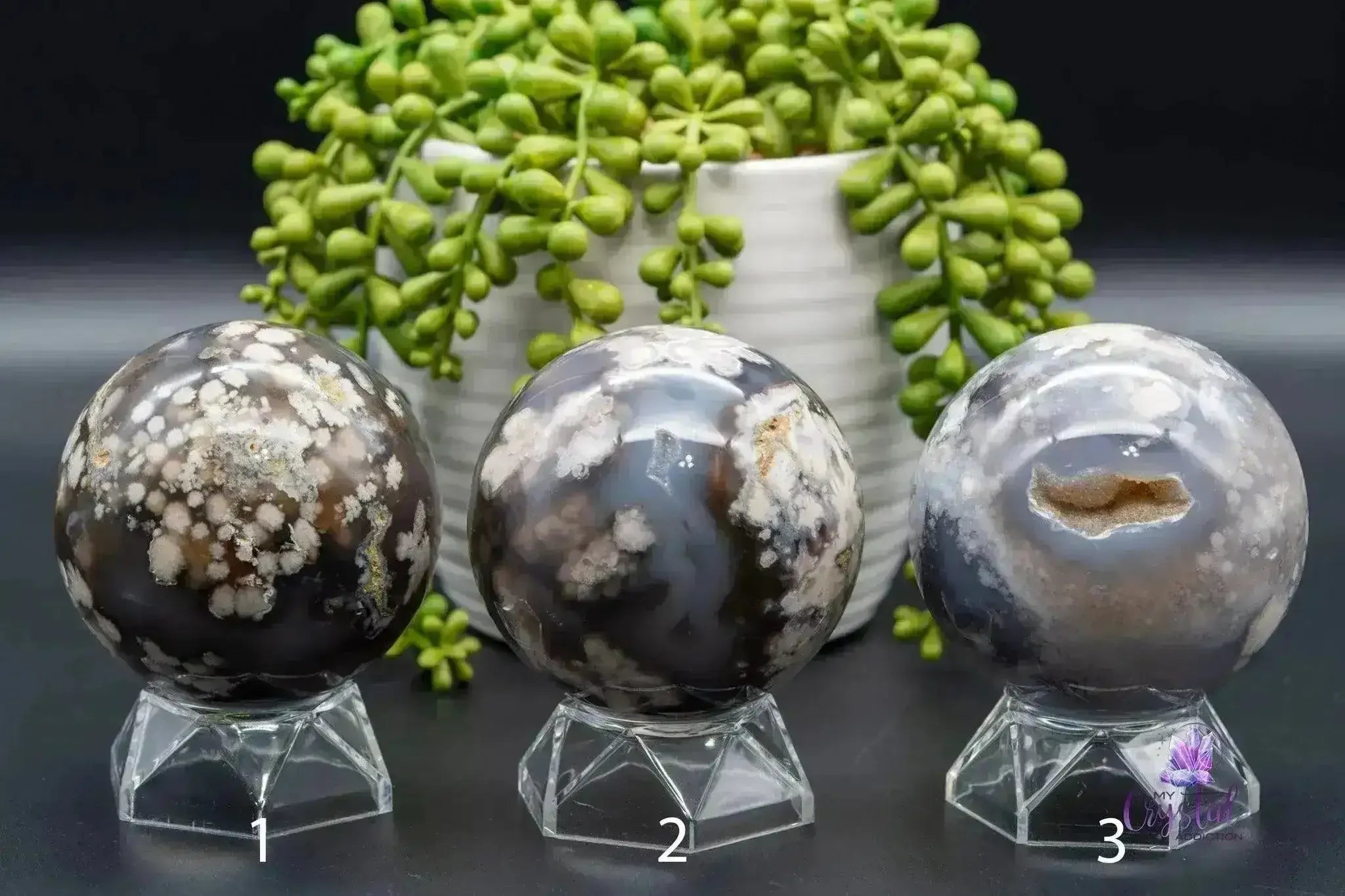 Black Flower Agate Sphere 2.8"-3.1"/72mm-81mm - My Crystal Addiction