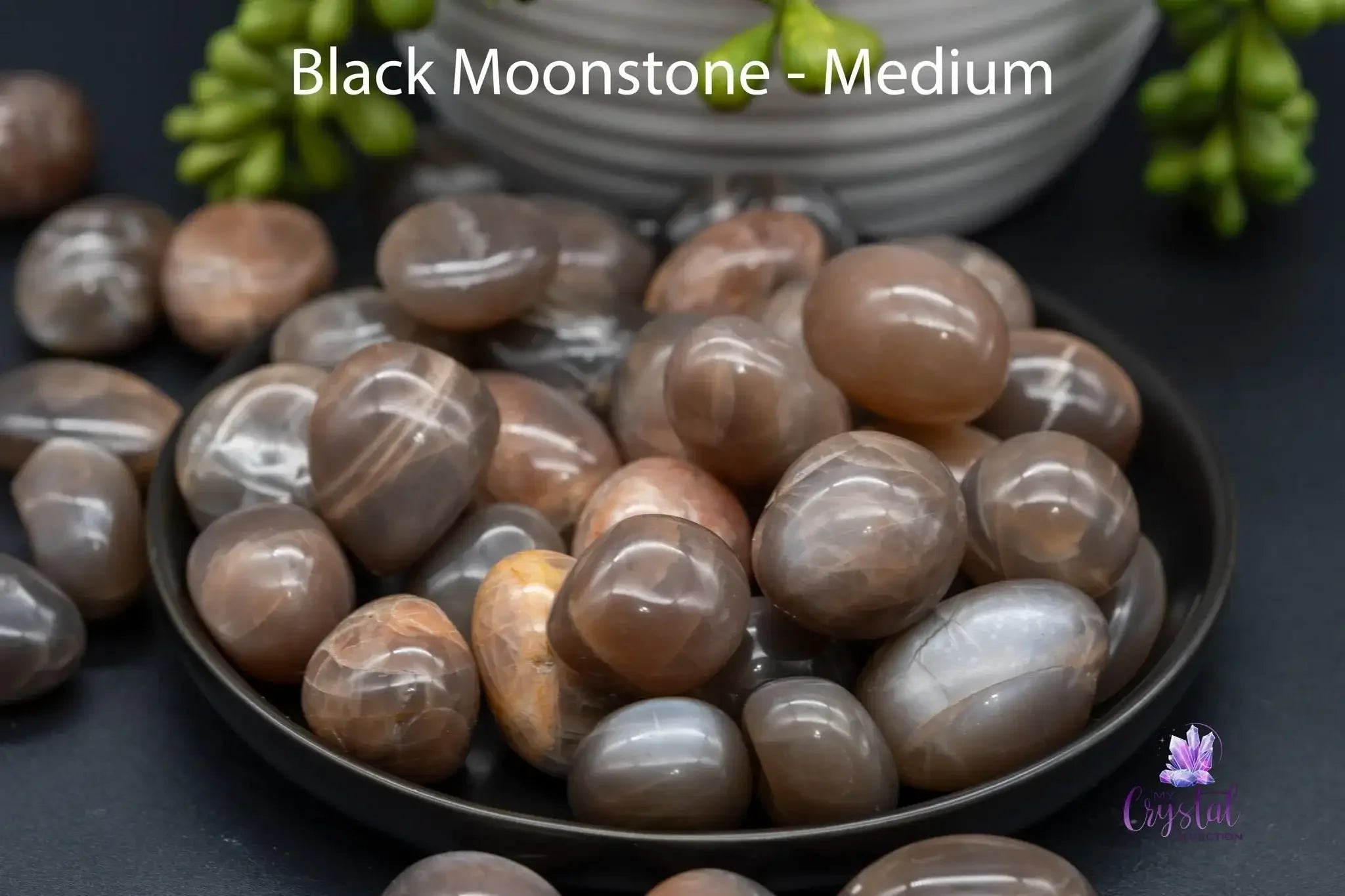 Black Moonstone Tumble - My Crystal Addiction