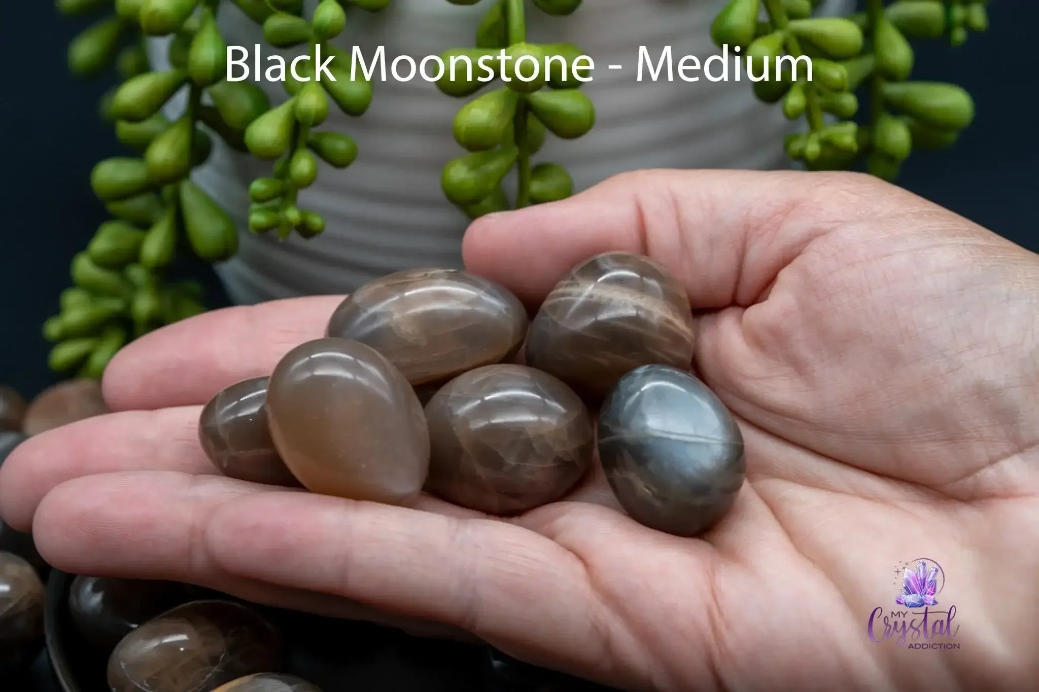 Black Moonstone Tumble - My Crystal Addiction