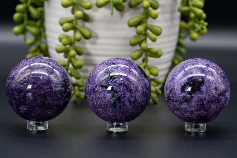 Charoite Sphere 50mm/1.9" - My Crystal Addiction