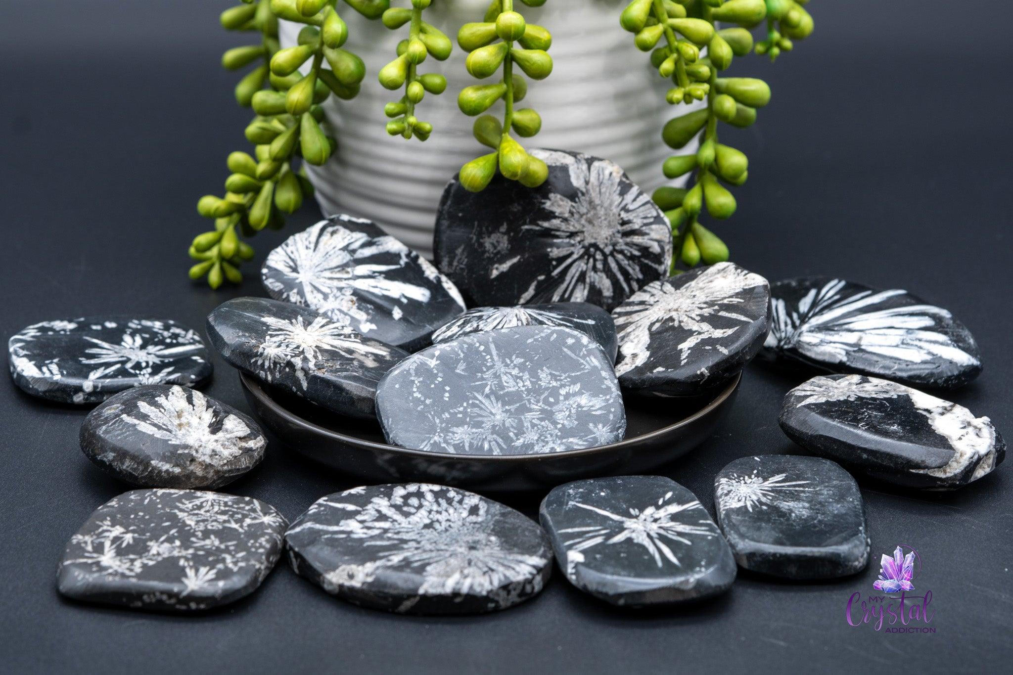 Chrysanthemum Stone Palm Stone - My Crystal Addiction