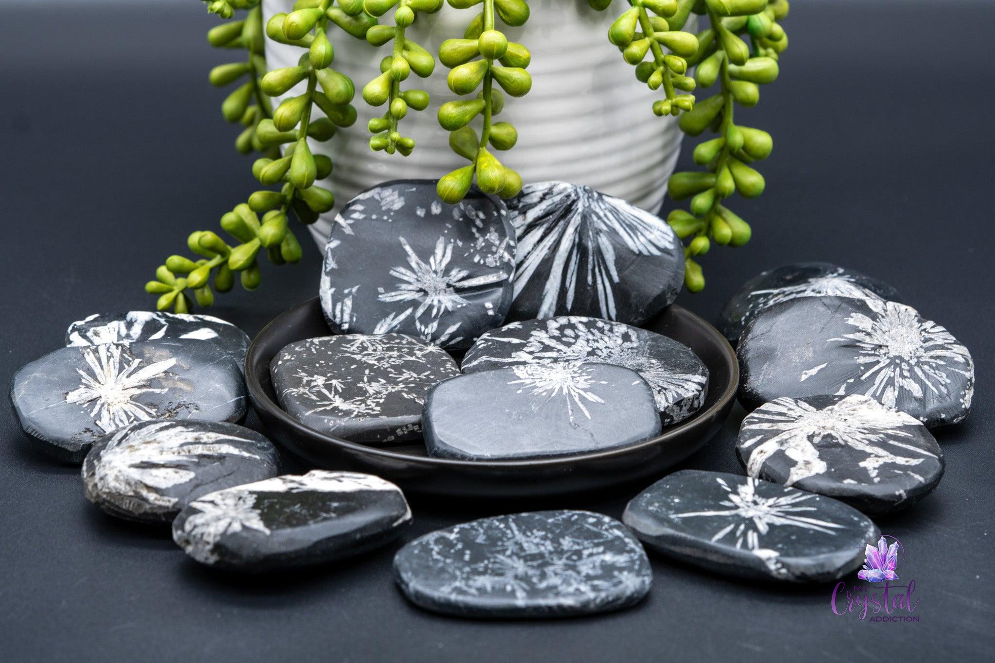 Chrysanthemum Stone Palm Stone - My Crystal Addiction