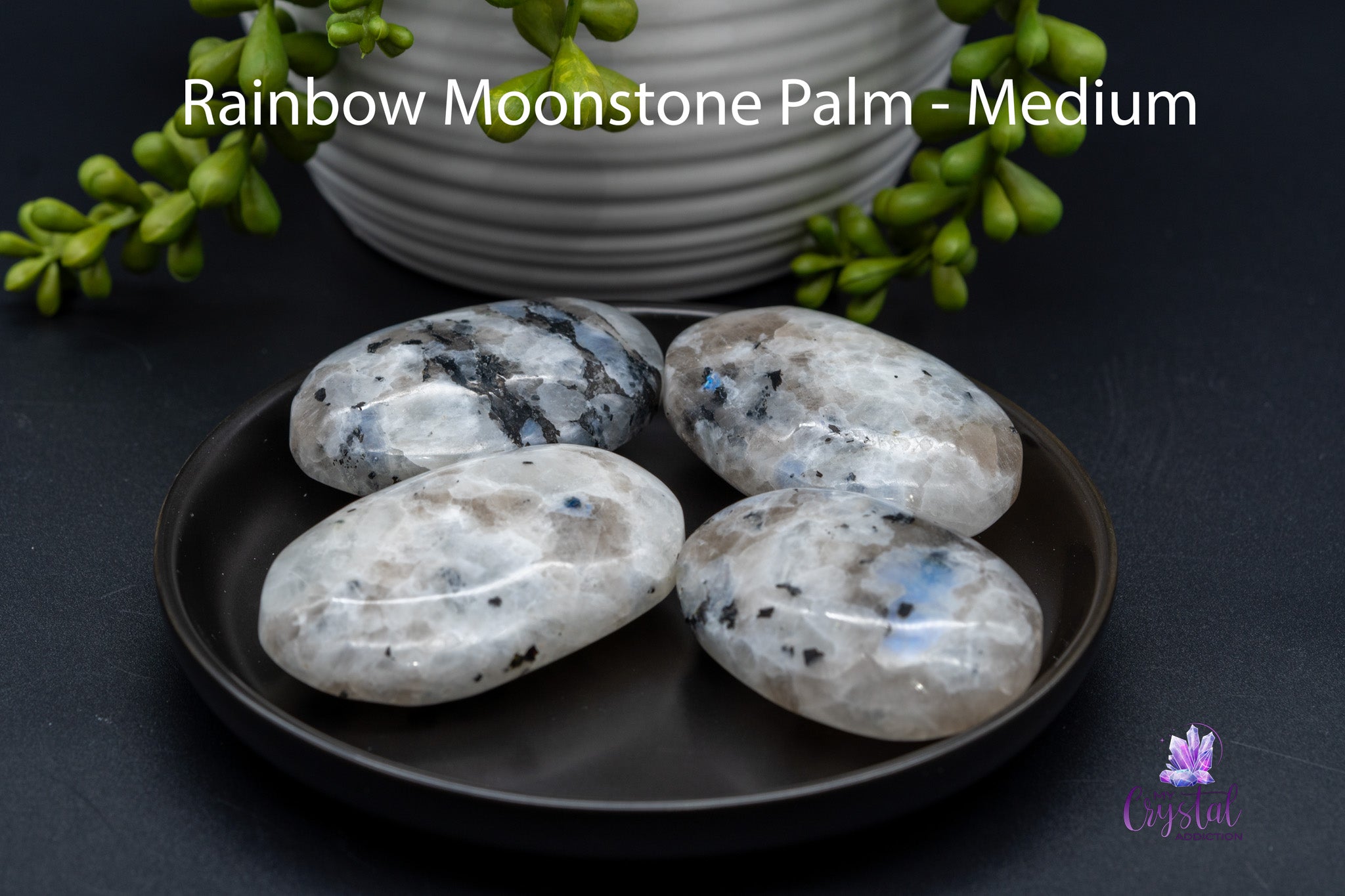 Rainbow Moonstone Palms Stones - My Crystal Addiction