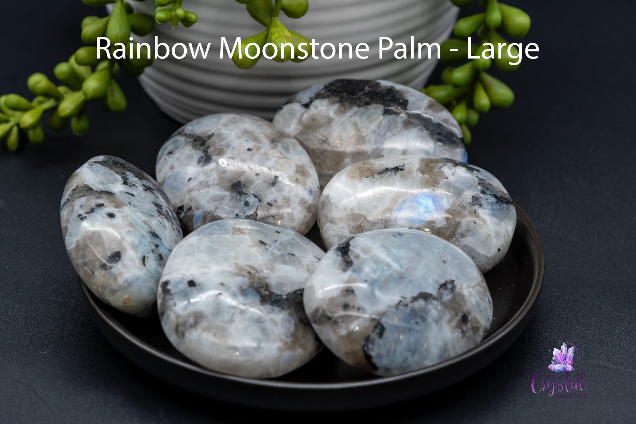 Rainbow Moonstone Palms Stones - My Crystal Addiction
