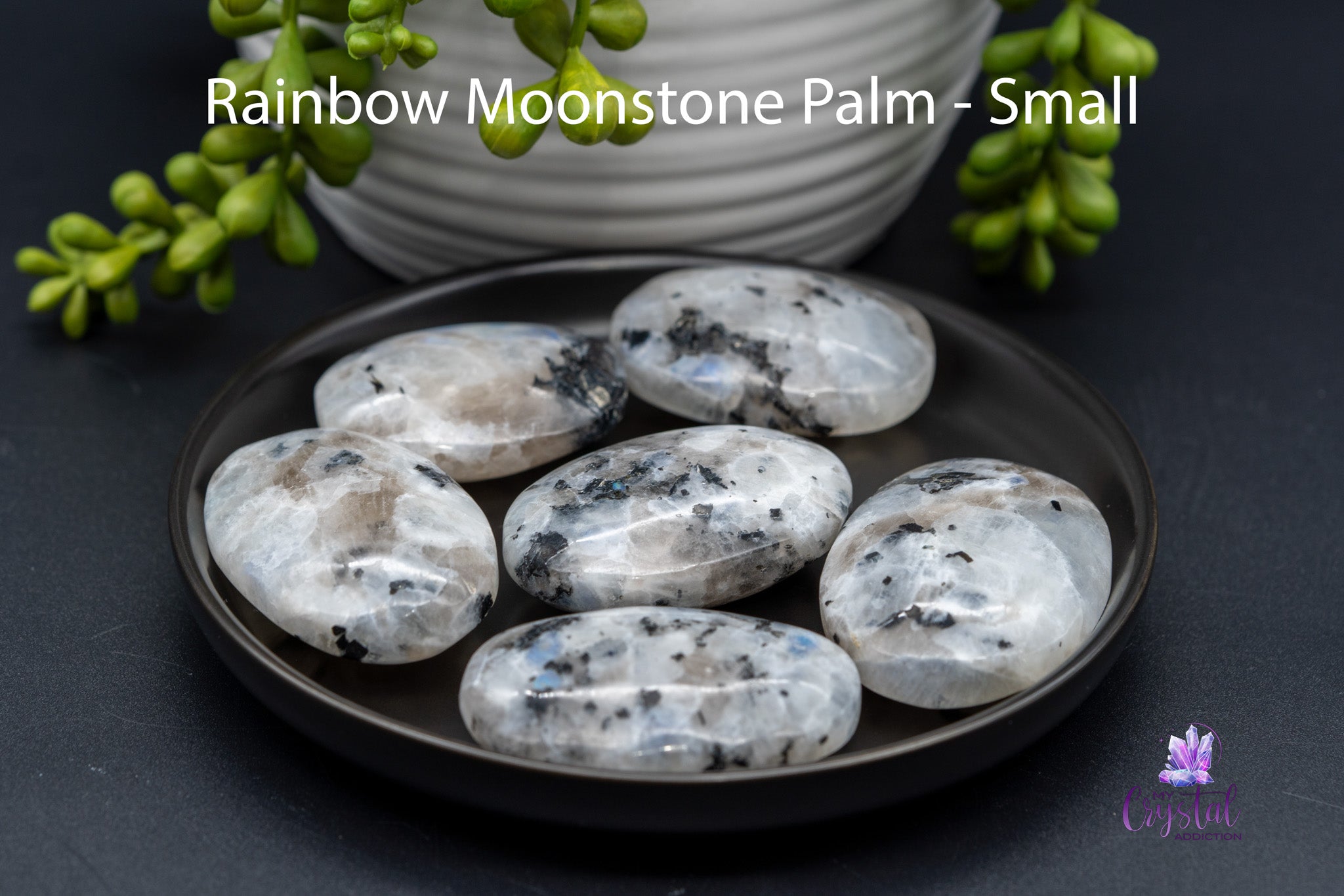 Rainbow Moonstone Palms Stones