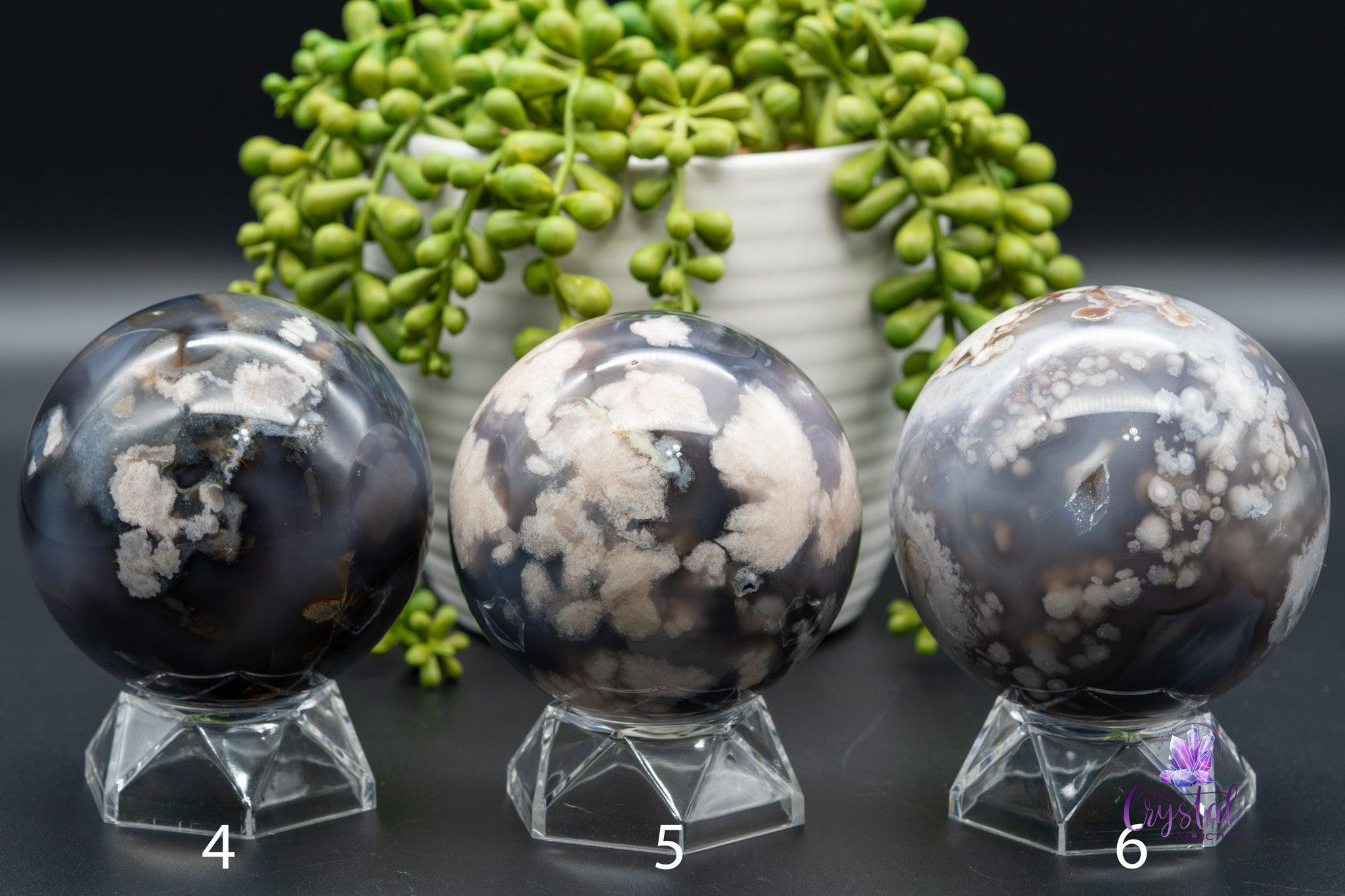 Black Flower Agate Sphere 2.8"-3.1"/72mm-81mm - My Crystal Addiction