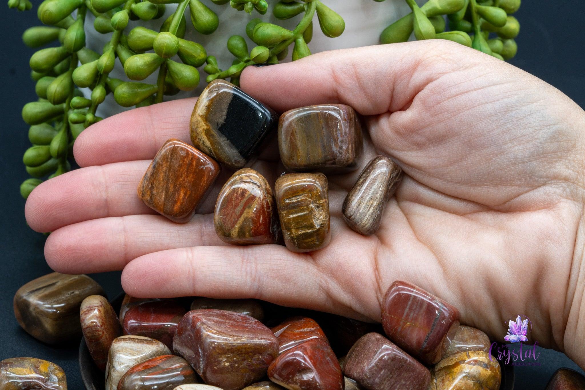 Petrified Wood Tumbles - My Crystal Addiction