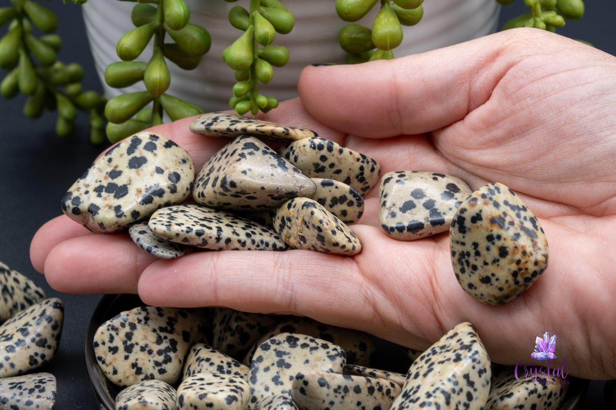 Dalmatian Jasper Tumbles - My Crystal Addiction