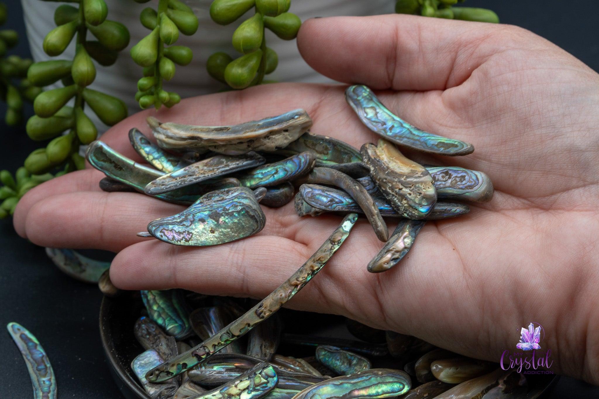 Paua / Abalone Shell from New Zealand - Rims - My Crystal Addiction