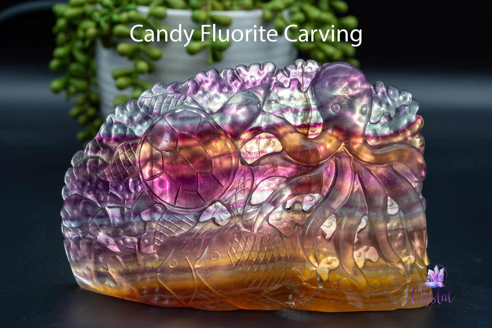 Fluorite Oceanscape Carving - Candy Fluorite - My Crystal Addiction