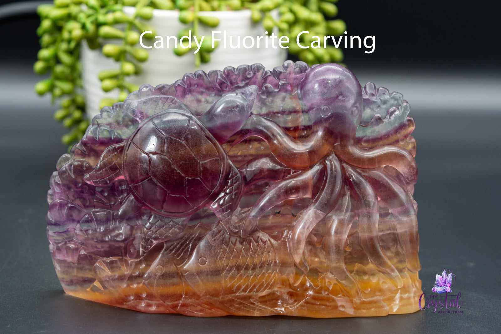Fluorite Oceanscape Carving - Candy Fluorite - My Crystal Addiction