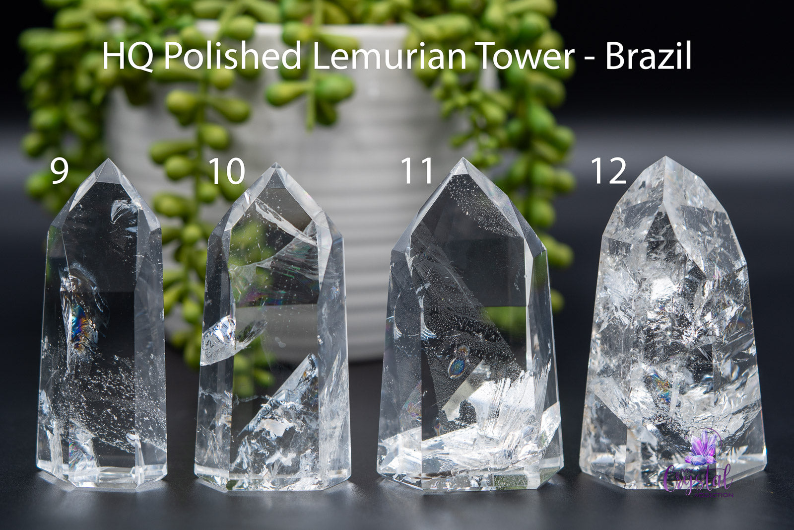 Lemurian Quartz Tower 3.5"-/ 85mm - Brazilian - My Crystal Addiction