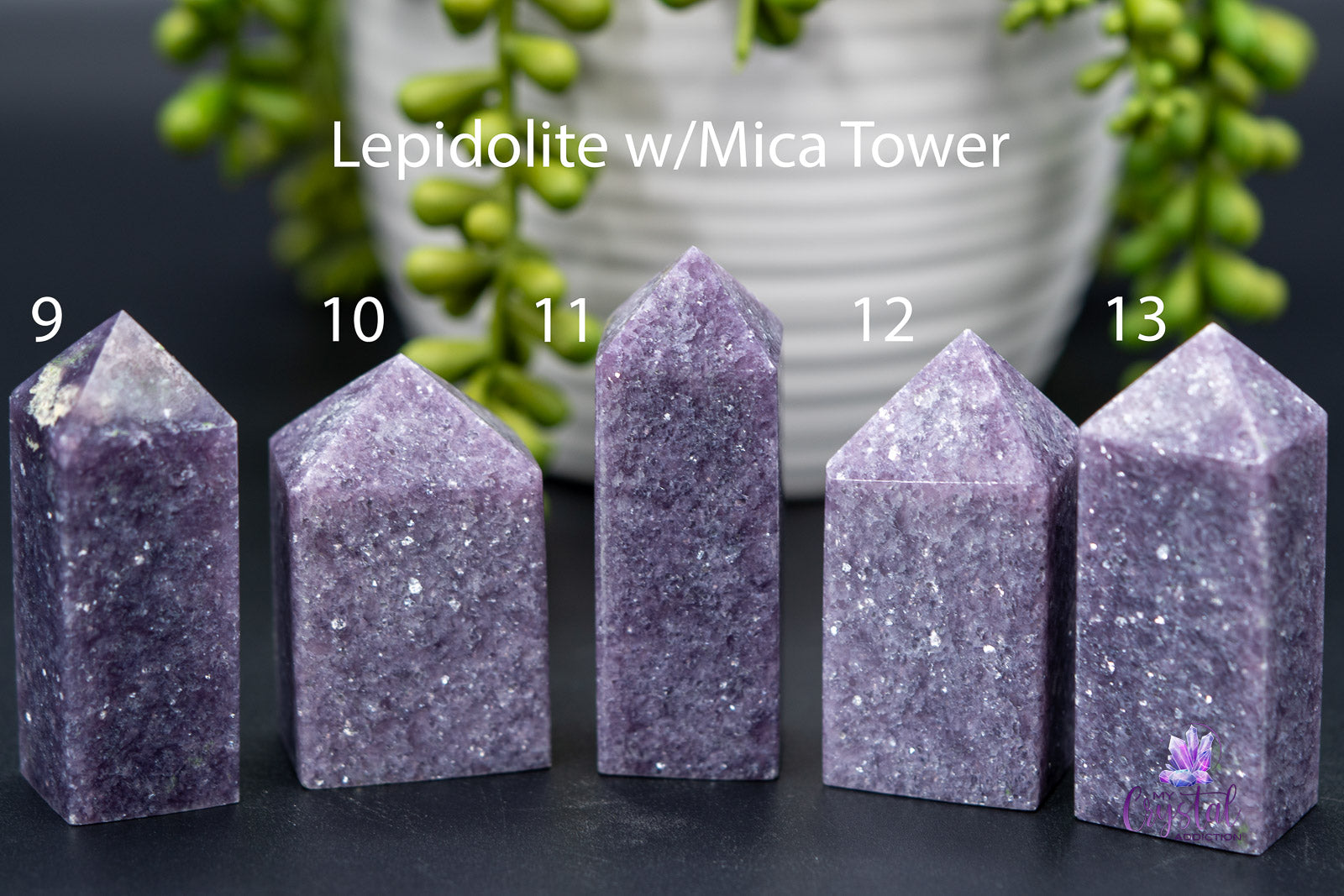 Lepidolite w/Mica Towers 2.2"-3.3"/56mm-85mm - My Crystal Addiction