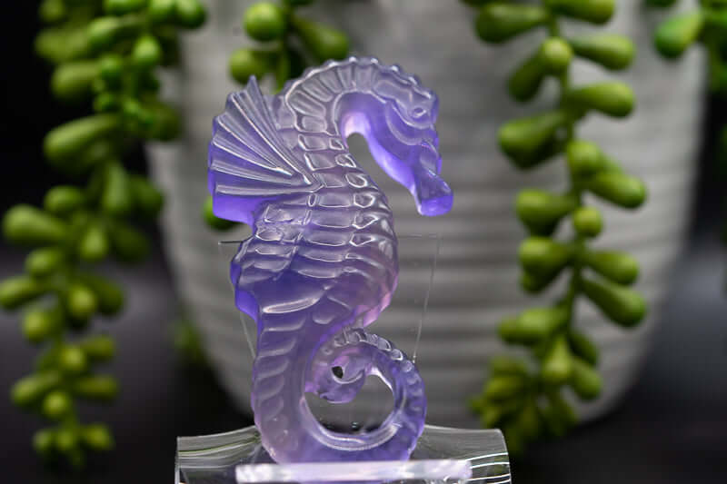 Fluorite Carving - Purple Seahorse - 3" - My Crystal Addiction