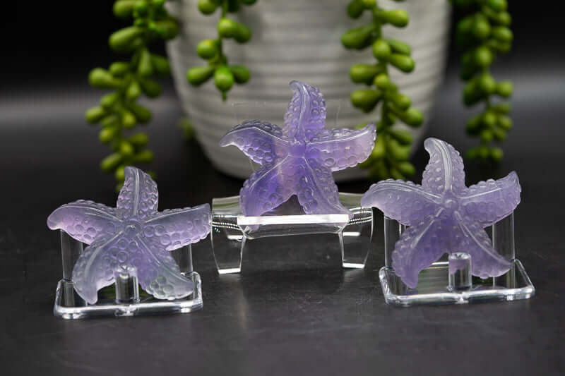 Fluorite - Purple Starfish - My Crystal Addiction