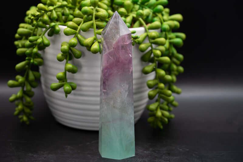 Fluorite Tower -Watermelon 5" - My Crystal Addiction