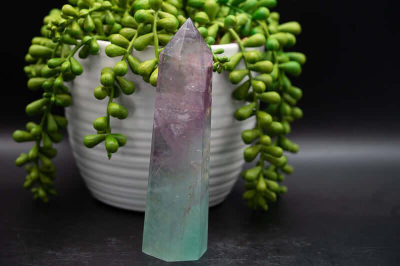 Fluorite Tower -Watermelon 5" - My Crystal Addiction