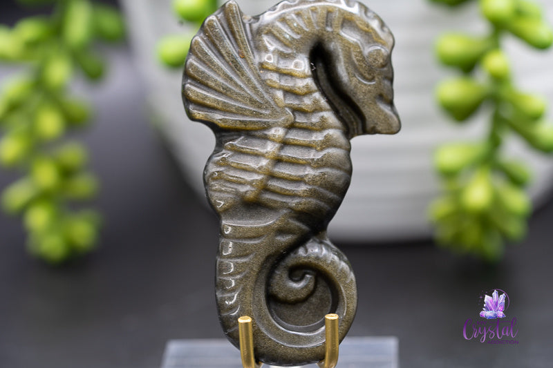 Gold Sheen Obsidian Seahorse Carving - Root Chakra - My Crystal Addiction