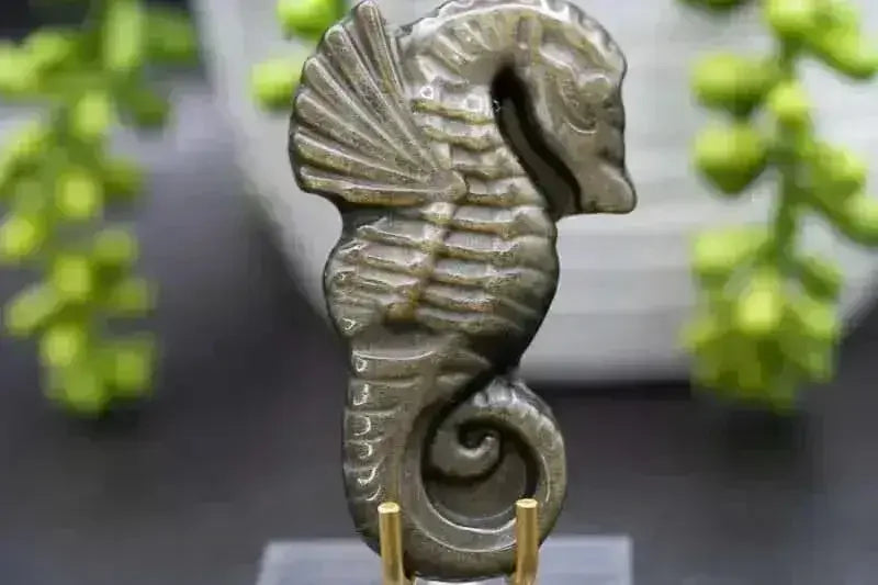Gold Sheen Obsidian Spiral Shell Carving - Root Chakra - My Crystal Addiction