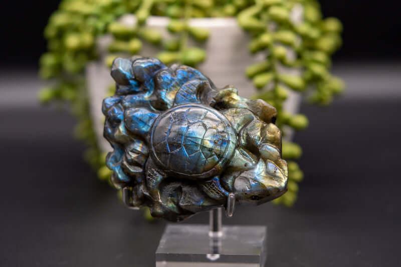 Labradorite Carving - Blue Flash - Turtle - My Crystal Addiction