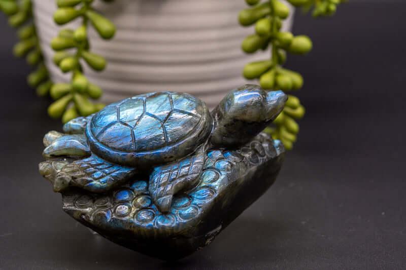 Labradorite Carving - Blue Flash - Turtle - My Crystal Addiction