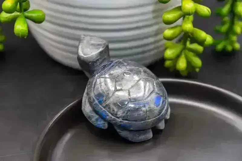 Labradorite Carving - Blue Flash - Turtle - My Crystal Addiction