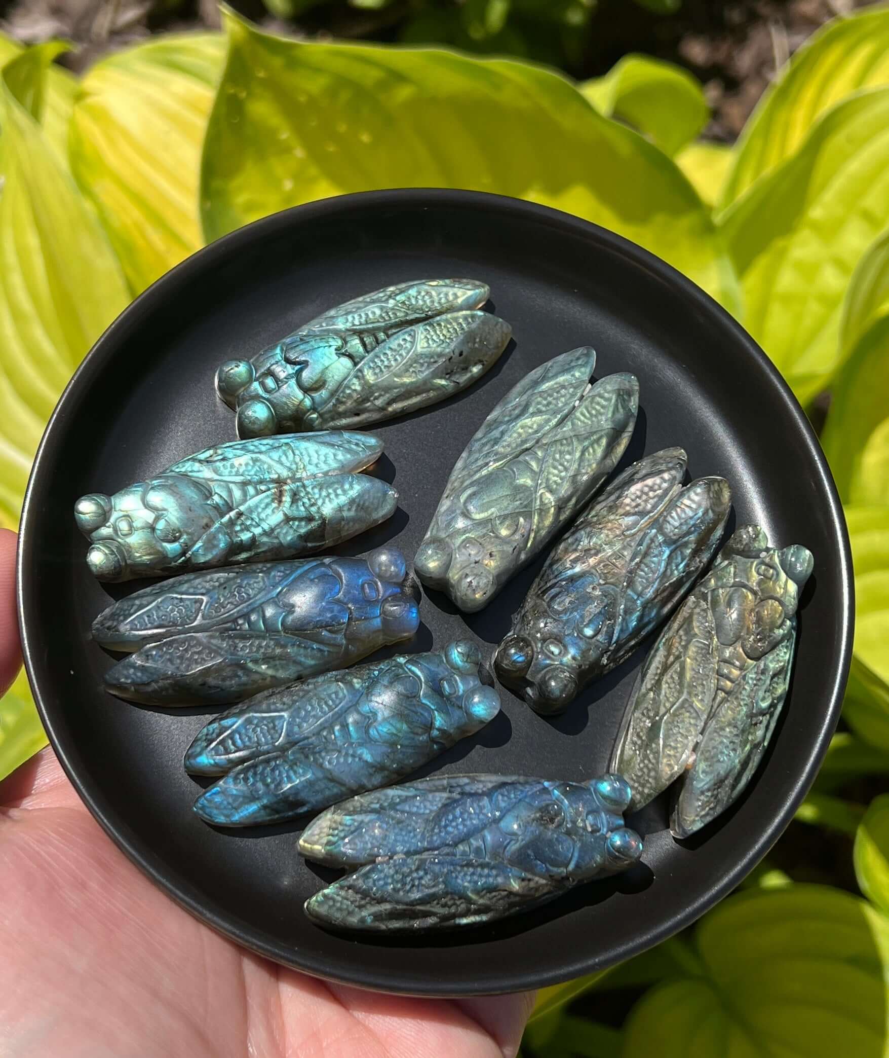 Labradorite Carving Cicada - My Crystal Addiction