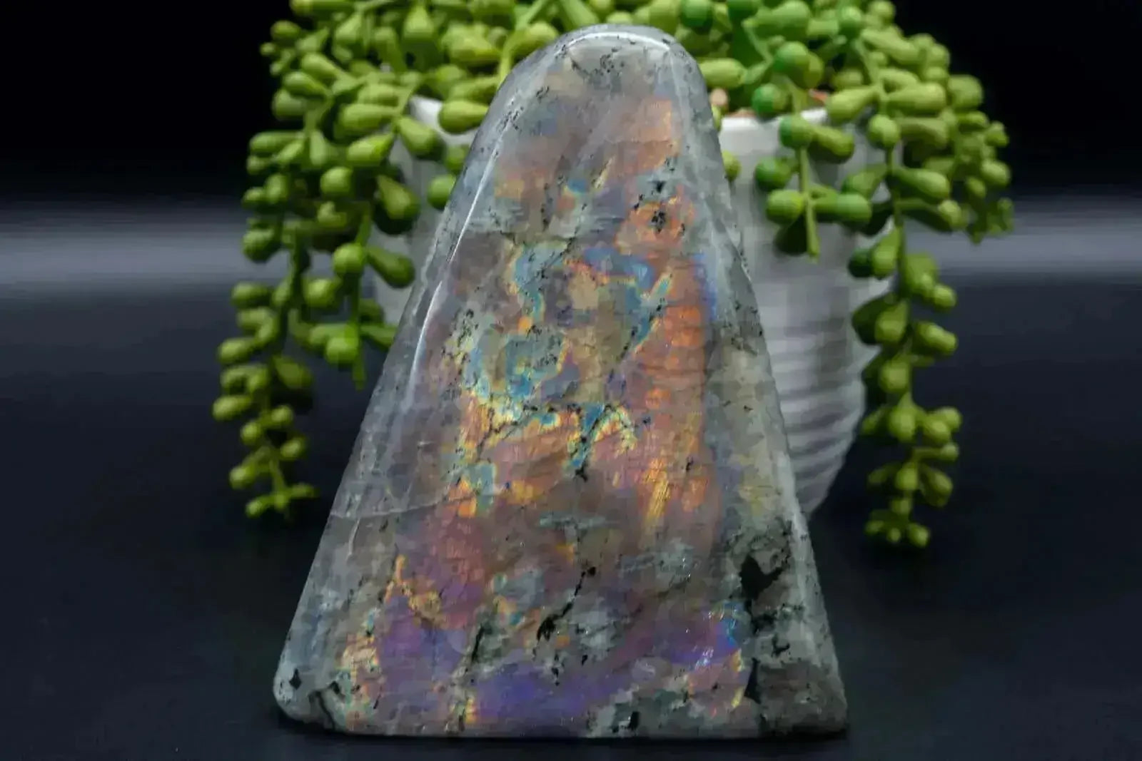 Labradorite Free-Form - Purple/Pink Flash 5.5"x4.5" - My Crystal Addiction