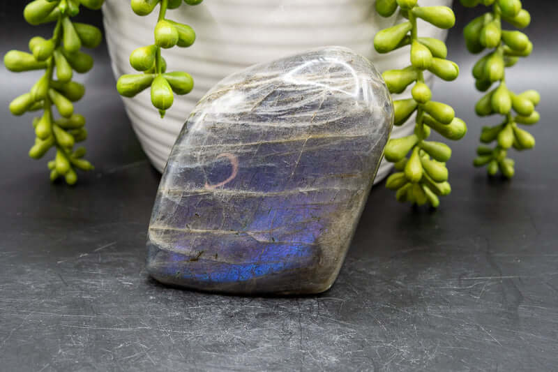 Labradorite Free-Form - Purple/Blue Flash 2.5"x3" - My Crystal Addiction