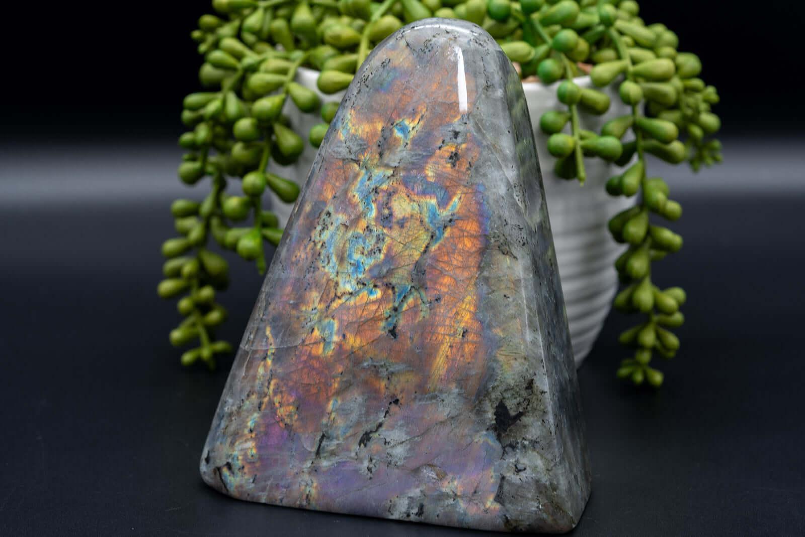 Labradorite Free-Form - Purple/Pink Flash 5.5"x4.5" - My Crystal Addiction