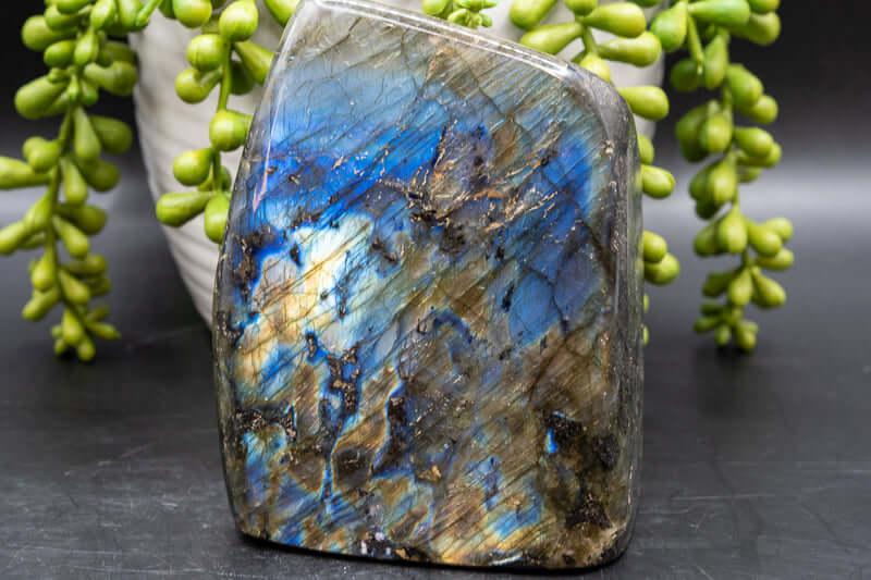 Labradorite Free-Form - Blue Flash 3.5"x4" - My Crystal Addiction