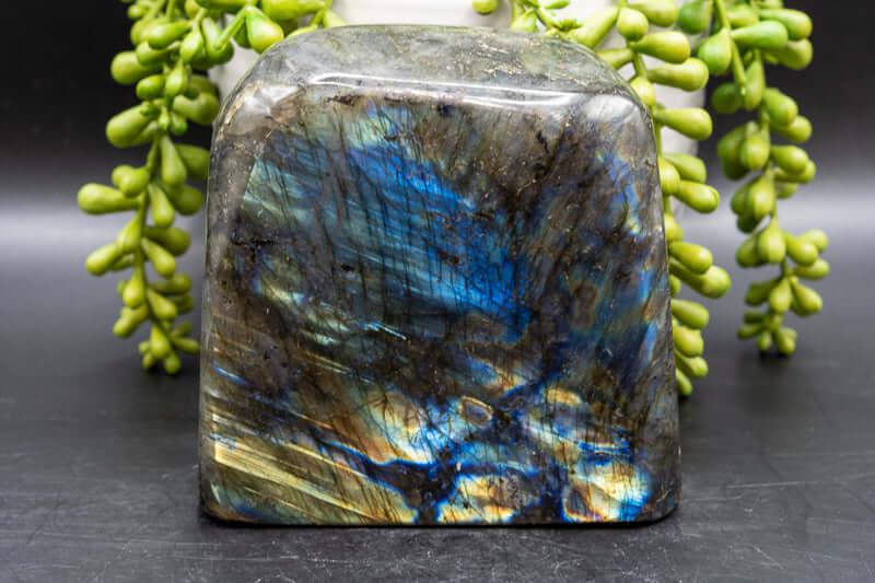 Labradorite Free-form - Blue Flash 4"x4" - My Crystal Addiction