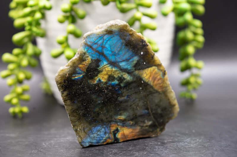 Labradorite Free-form - Blue Flash / Polished Front - My Crystal Addiction